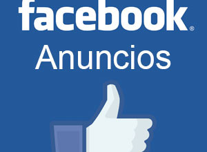 Facebook Ads para tu página web