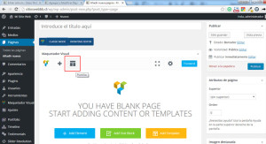 Diseños Páginas Web Económicos